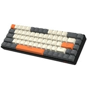 ZIYOU LANG RK-T8 Wired 65% Mechanical Gaming Keyboard with RGB LED Backlit Anti-ghosting TKL Mini 68 Key Custom Coiled C to A Cable Tactile Blue Switch for PS4 PS5 Xbox PC Mac Gamer(Dark Gray/White)